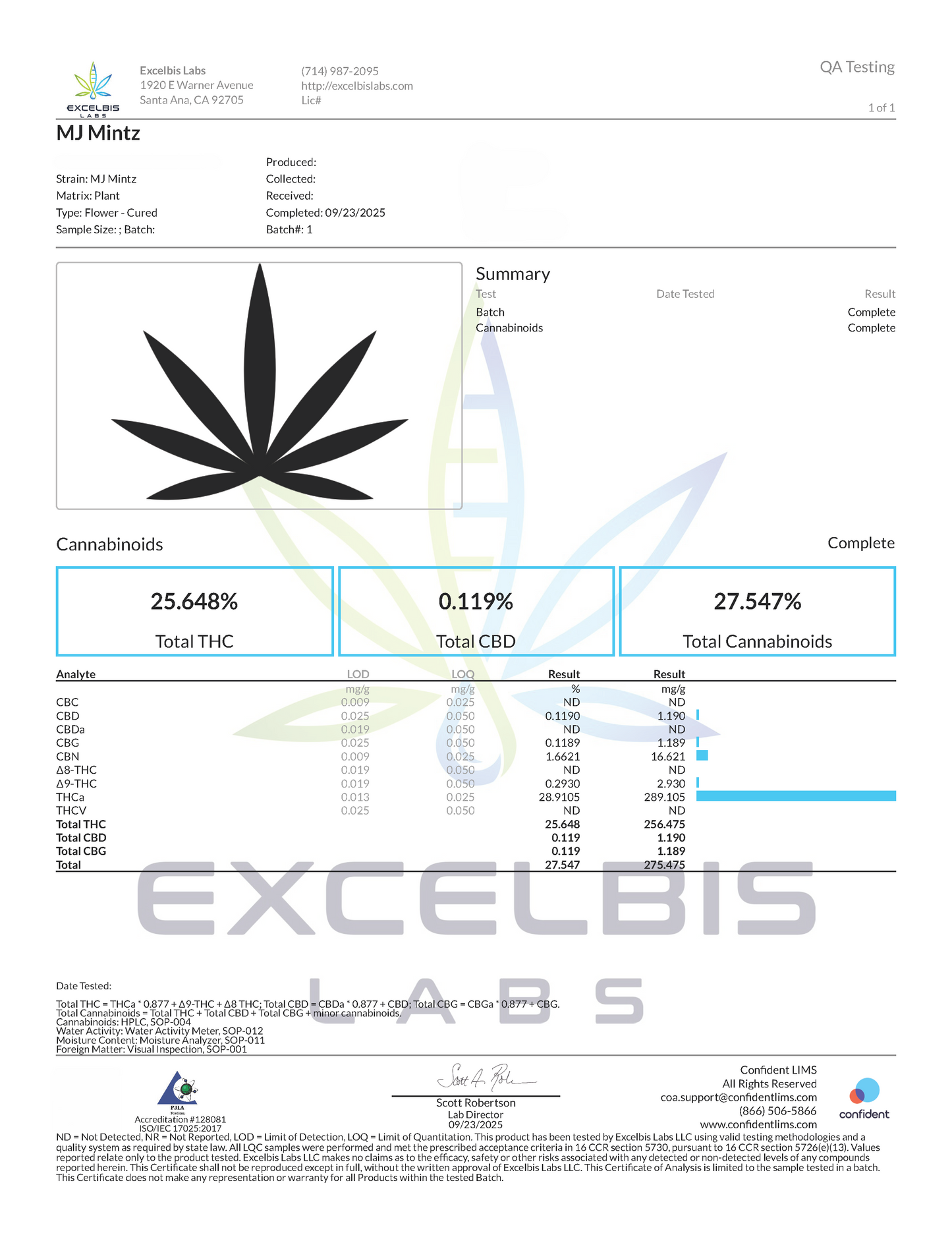 MJ Mintz (Indica)