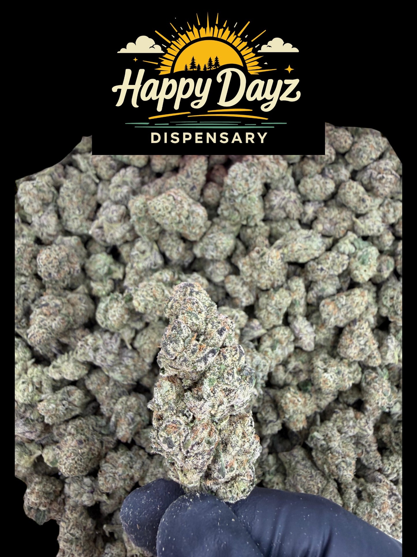 Columbian Gold (Sativa)
