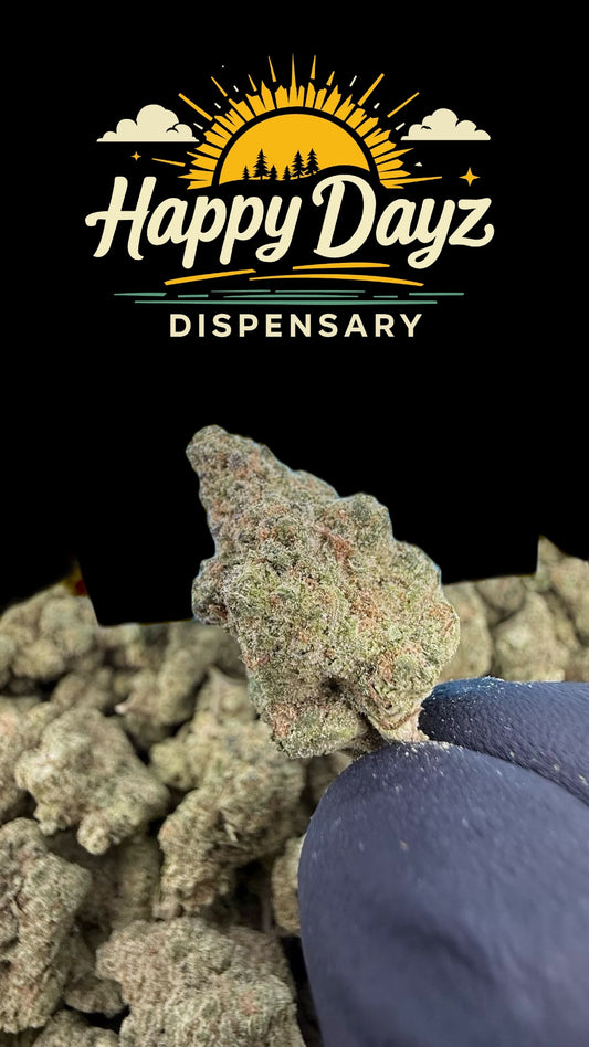 Bacio Gelato (Hybrid)