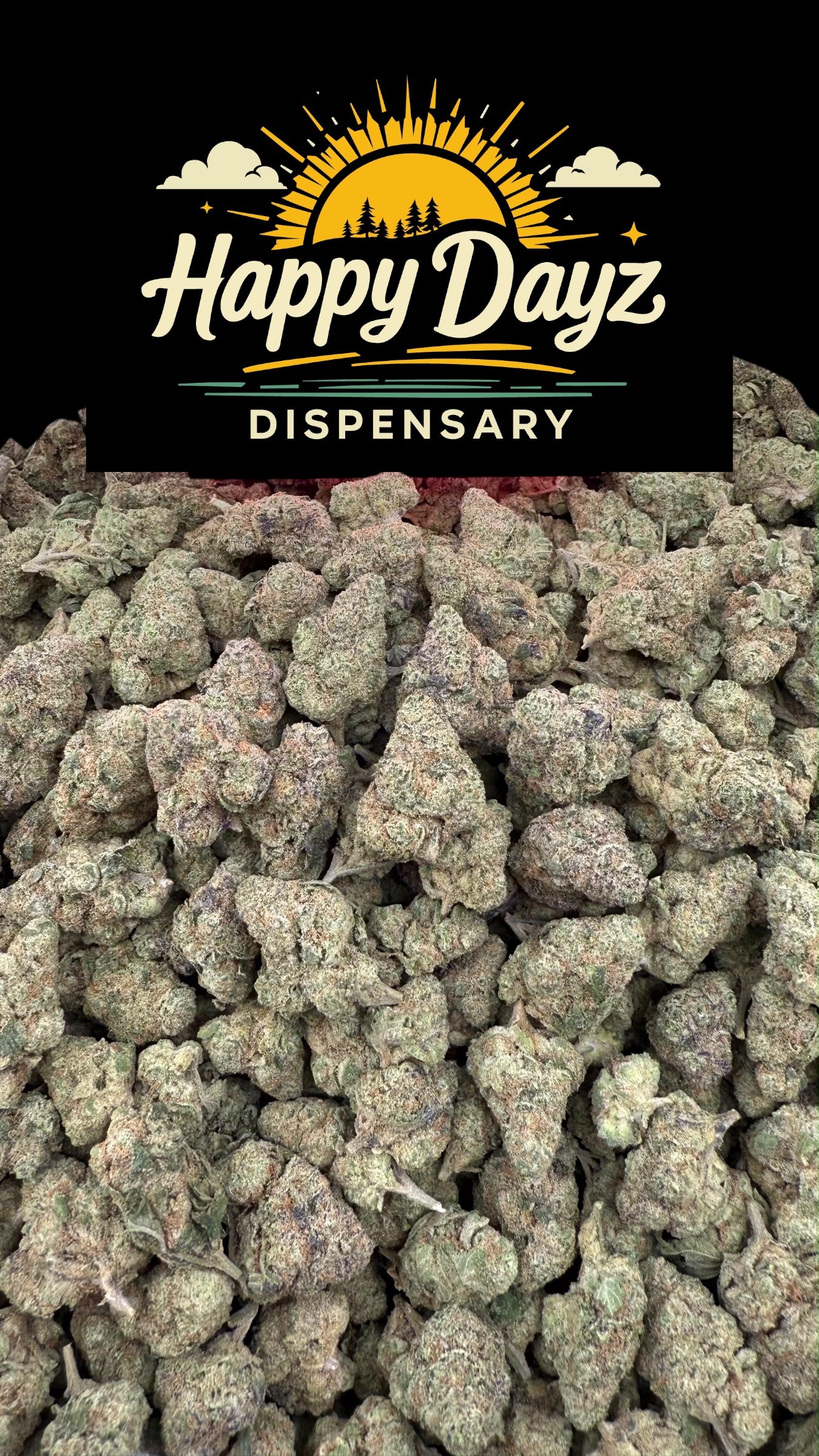 Gush Mintz (Indica)