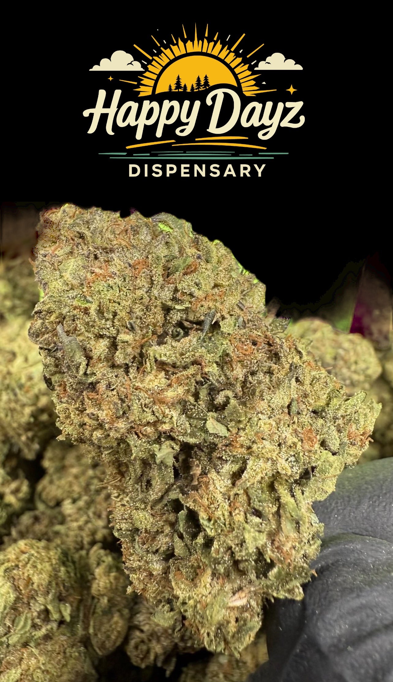 Venom Og (Hybrid)