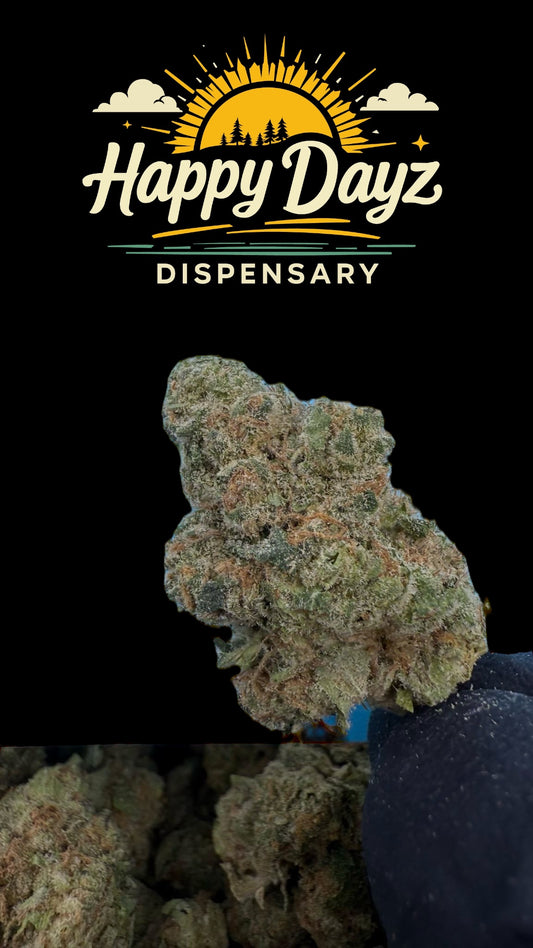 Mimosa (Sativa)