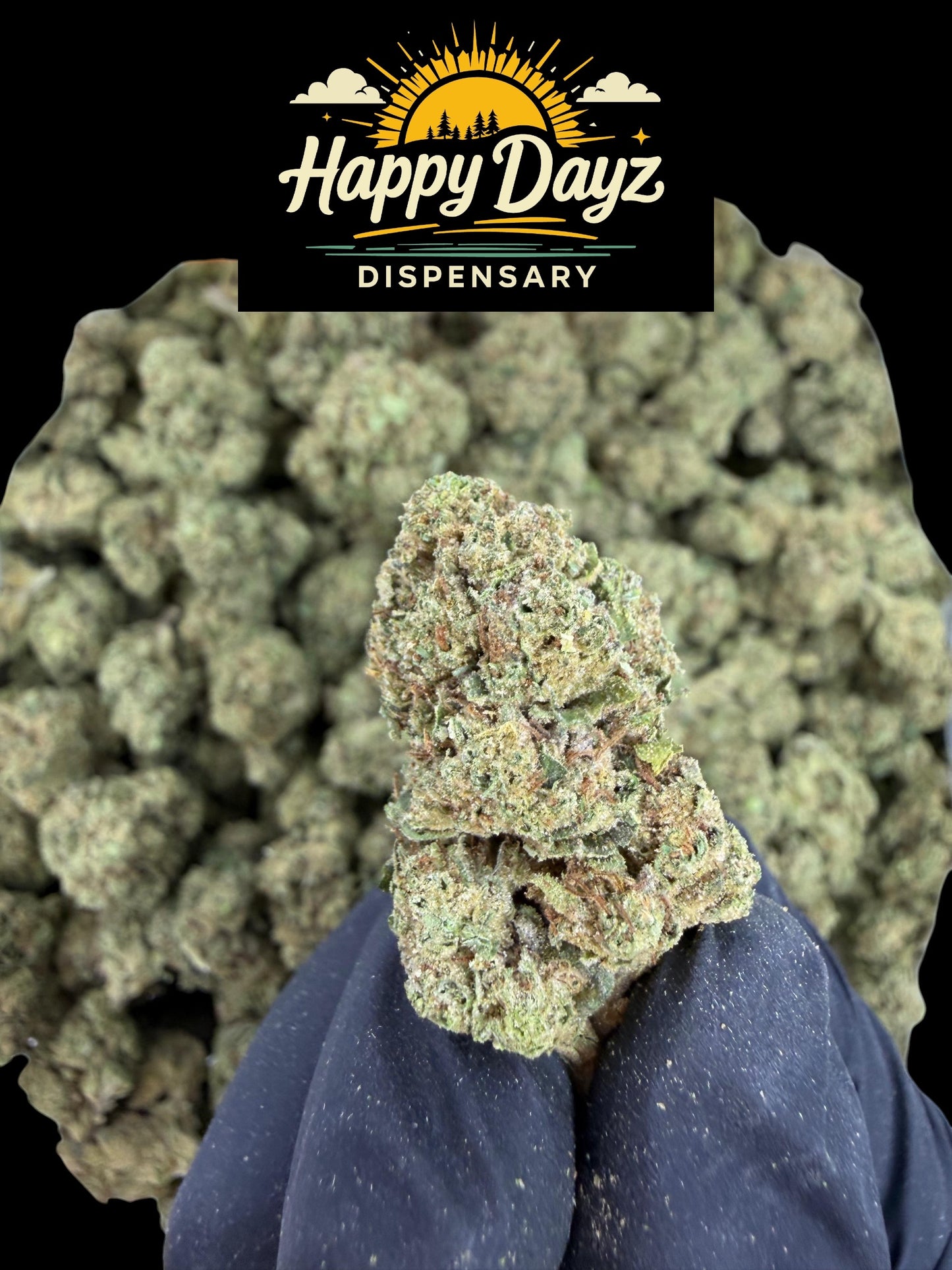 Shake Shack (Indica)