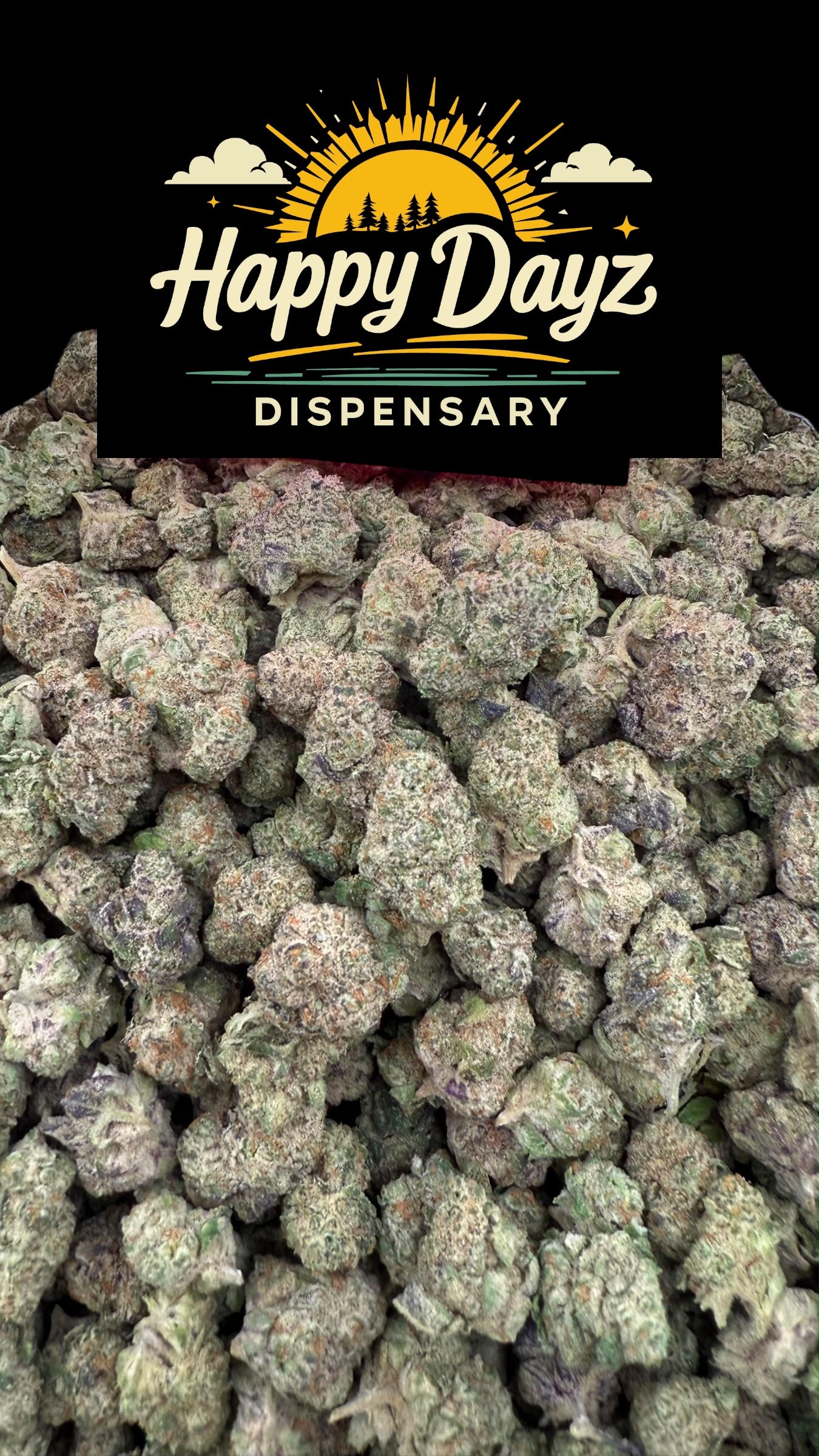 Lemon Freeze (Sativa)