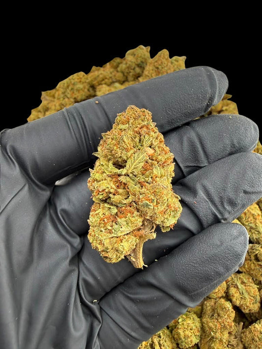Blue runtz (Indica)