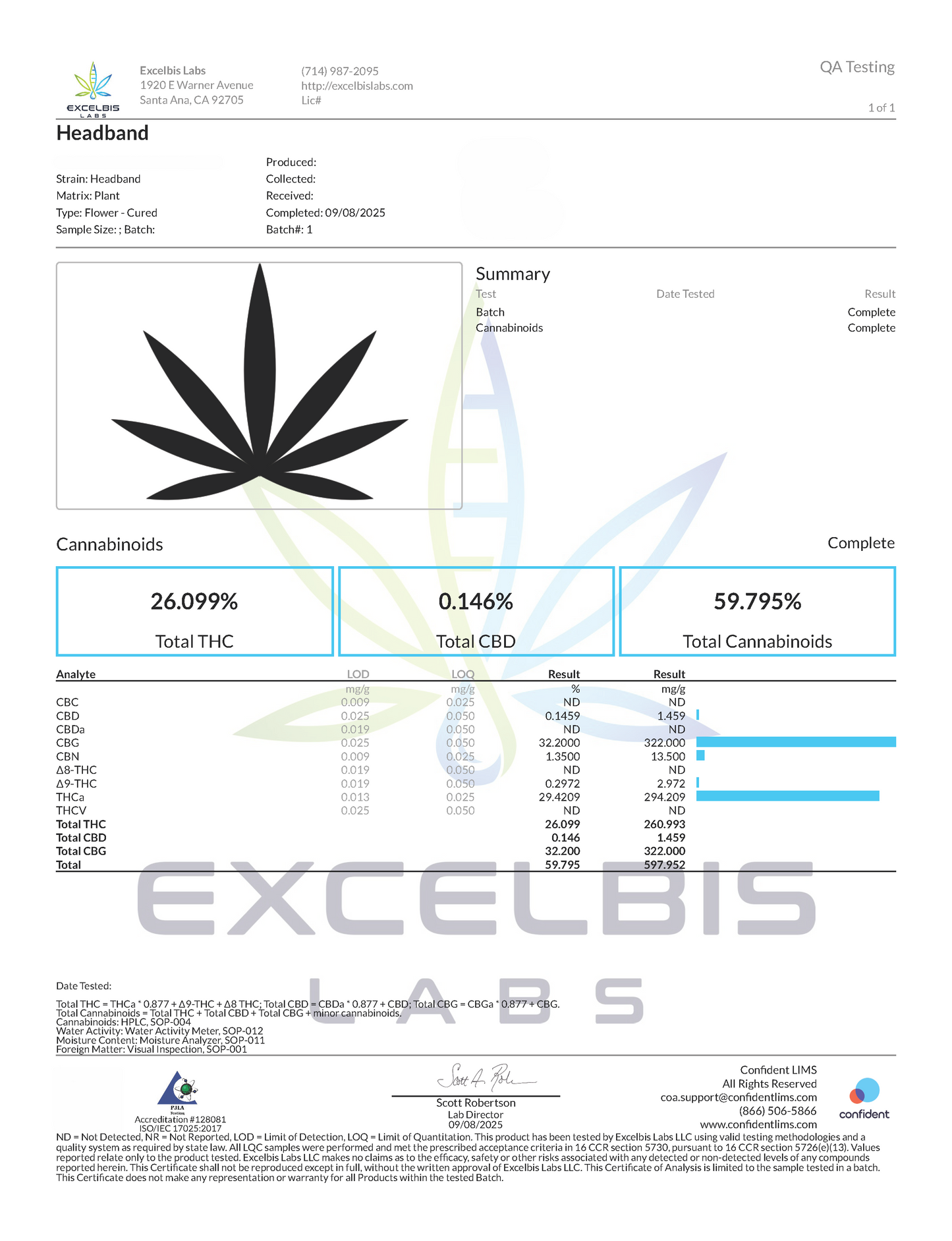 Headband (Hybrid)