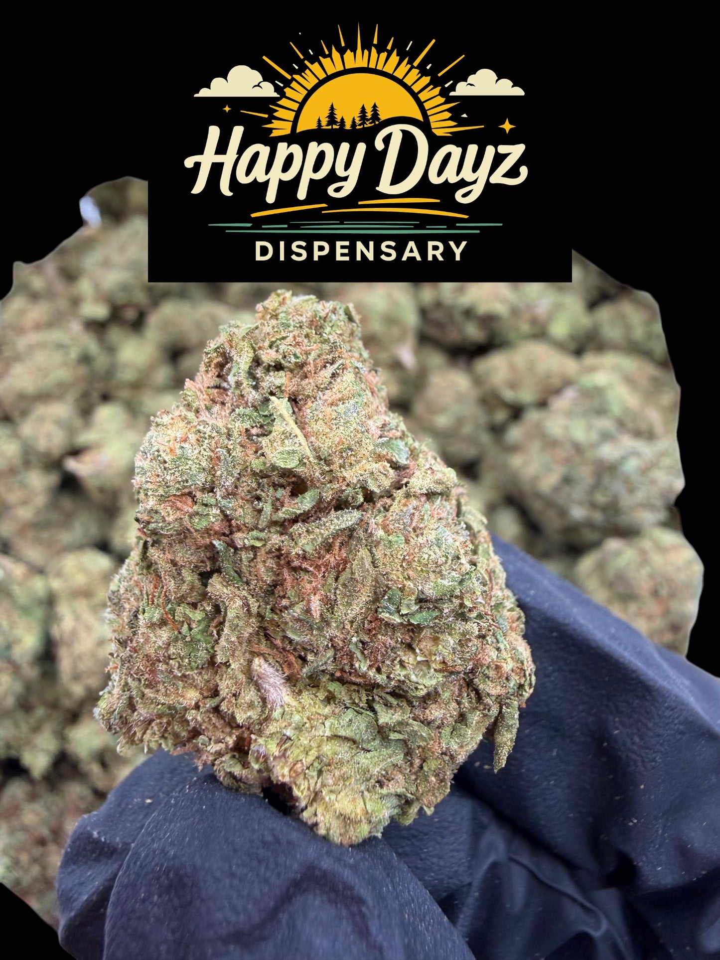 Sour diesel (Sativa)